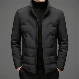 羽绒服外套男立领商务休闲中年男装冬季中老年爸爸装ZL6107-P195，男装羽绒服，电商B212（原钱塘6029）