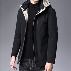 AN9039钱塘2020-3秋冬新款中年男士简约休闲连帽羽绒服外套P195，男装羽绒服，钱塘207-3