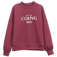 高档棉春秋薄款圆领卫衣女装2025新款韩版时尚减龄长袖上衣，女装卫衣/绒衫，璐依舞