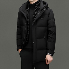DF23319钱塘2020-2冬季厚款时尚休闲有帽中年男士羽绒服P333，男装羽绒服，钱塘207-2