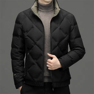 BN22211钱塘2020-2中年男士冬季厚款新款时尚休闲百搭羽绒服P235图片