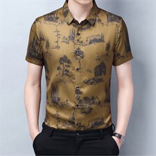 短袖衬衫2023夏季男士商务休闲免烫衬衣潮流宽松百搭时尚上衣外套，男装衬衫，电商B212（原钱塘6029）