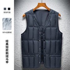 BD2101钱塘2020-2中年男士休闲简约纯色加厚羽绒服马甲P130，男装羽绒服，钱塘207-2
