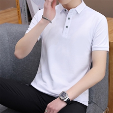 夏季高端男士短袖翻领T恤男冰丝Polo衫商务休闲夏装2024新款男，男装T恤，电商B212（原钱塘6029）