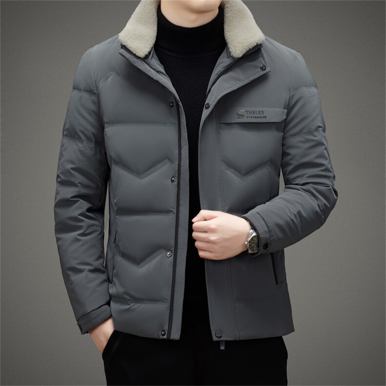 DZ059钱塘2020-3冬季厚款商务休闲立领时尚中年男士羽绒服P210图片