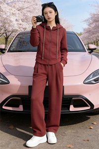 欧货慵懒风时尚套装女春季设计感纯色连帽外套休闲阔腿长裤两件套图片