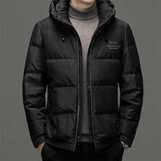 CSYR95523钱塘2020-2时尚休闲百搭简约中年男士有帽羽绒服P250，男装羽绒服，钱塘207-2