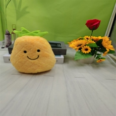 宏兴毛绒玩具 菠萝