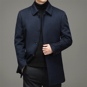 BW6528钱塘2020-2中年男士商务休闲翻领简约冬季厚款羽绒服P490图片