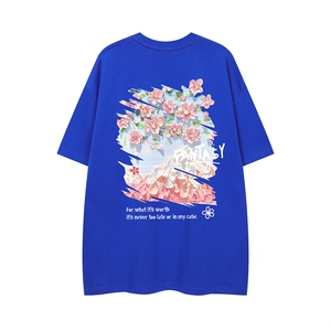 白底23新款夏季时尚百搭宽松圆领字母印花短袖T恤T6096P25控38图片