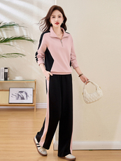 现货女士立领运动休闲时尚韩版修身洋气潮流爆2025年秋款季，女装卫衣/绒衫，凝聚力