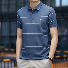 商务休闲男装夏季新款短袖T恤polo衫中年翻领薄款半袖体恤男上装，男装Polo衫，电商B212（原钱塘6029）