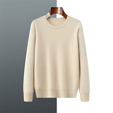 2025年秋季长袖青春流行长袖圆领时尚百搭通勤简约休闲，男装羊绒套衫，羿纯羊绒