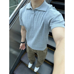 MT66LL-特P49 老钱风穿搭针织短袖男高级感翻领t恤美式图片