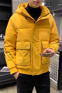 含款 冬季新款男ins工装羽绒服DS-B293-F709图片