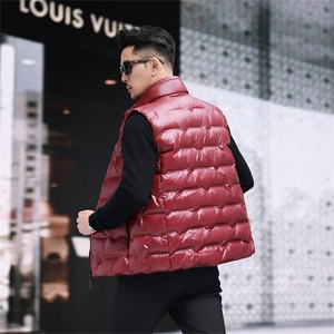 防水黑金羽绒服马甲男士秋冬立领无袖外穿90鸭绒时尚休闲坎肩背心图片