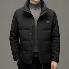立领羽绒服男短款冬季2023新款中年男装商务休闲上衣厚款保暖外套，男装羽绒服，电商B212（原钱塘6029）