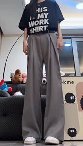 25新款工字褶A字西裤直筒阔腿垂感休闲长裤子潮504-K888-P55控78图片