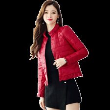 短款个性减龄百搭潮流舒适优雅气质常规羽绒服，女装羽绒服，布衣桑