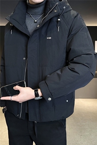 标50绒 工装连帽男士羽绒服冬季2025新款防寒服 A313-3320-P225图片