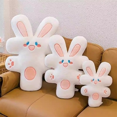 皮皮乐园毛绒玩具 有钱兔