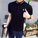 休闲修身免烫处理青少年2021年潮青春流行夏季棉毛布圆领Polo衫，男装Polo衫，电商A313