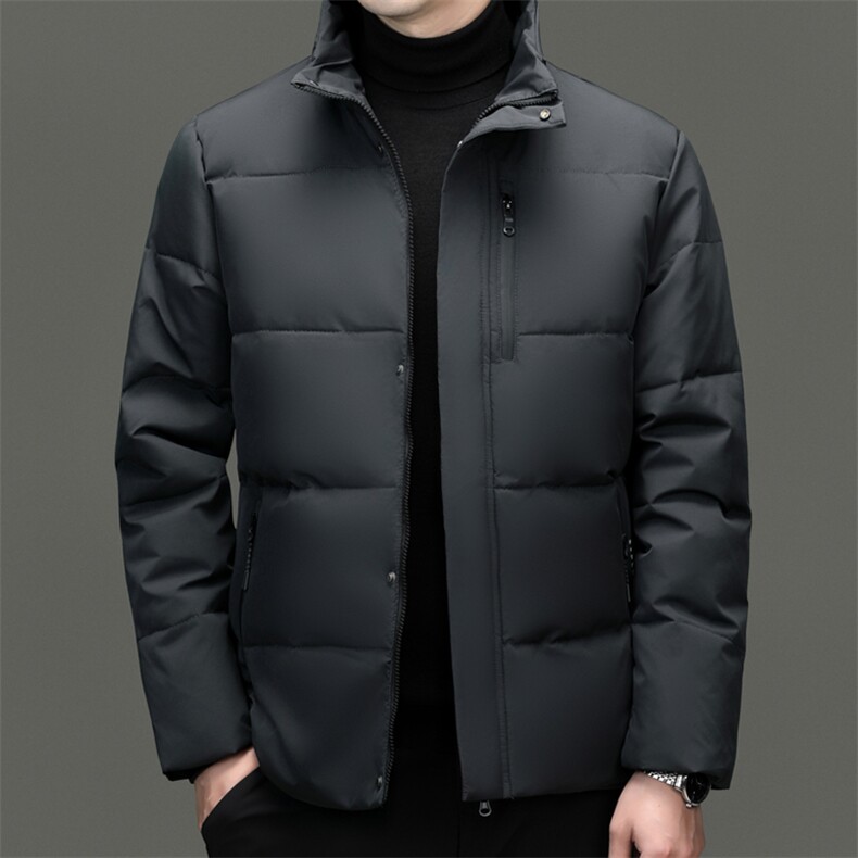 秋冬季白鸭绒羽绒服休闲男士短款加厚可脱卸帽时尚保暖男外套图片