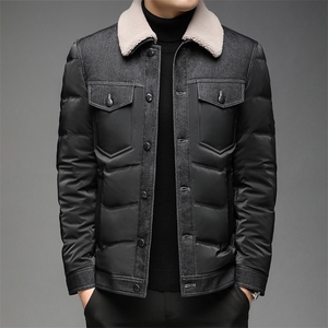 AC9913钱塘2020-3冬季羽绒服白鸭绒防寒保暖外套男加厚P240图片