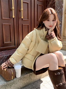 现货新款独特超好看短款羽绒服女款冬季立领面包服小个子羽绒外套图片