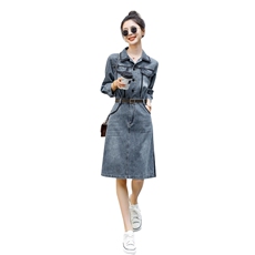时尚春季新款修身显瘦牛仔连衣裙，女装连衣裙，秋水欣儿