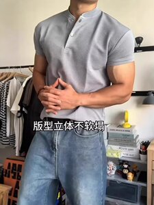 夏季男士短袖t恤高端有领子潮流青年立领上衣服半袖休闲薄款图片