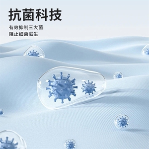 2025年夏季休闲风纯色短袖POLO领不连帽修身型仿棉珠地短T图片