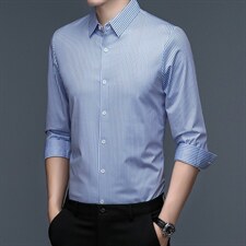 2023年秋季新款中年男士长袖衬衫商务休闲上衣条纹免烫衬衣男装，男装衬衫，电商B212（原钱塘6029）