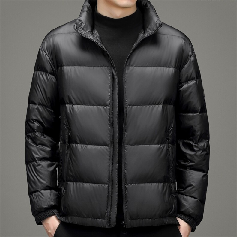 新款2023冬季羽绒服男装保暖白鸭绒外套中年爸爸装YYYR2138-P220,男装羽绒服,电商B212（原钱塘6029）