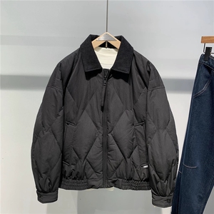 现货2025新款秋冬户外翻领羽绒服男标90绒图片