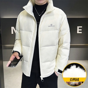 M839-P130 标50%白鸭绒2025冬季男士羽绒服时尚潮流图片