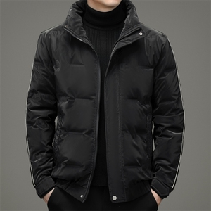 羽绒服男潮流休闲时尚立领保暖夹克外套80%白鸭绒男款ZG2952-P205图片