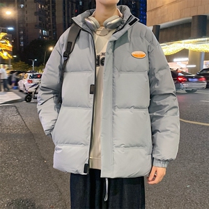 2024 冬季新款2211款立体剪裁50%灰鸭绒羽绒服 P130图片