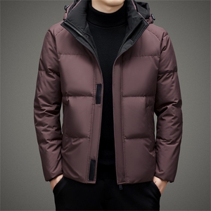 V2120钱塘2020-3秋冬新款男士连帽羽绒服保暖休闲百搭外套P213图片