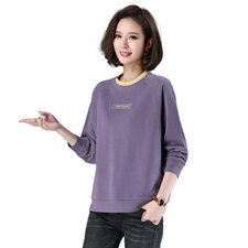 【全年有货，永不下架】卫衣女春秋韩版宽松刺绣洋气休闲妈妈上衣，女装卫衣/绒衫，3200格调