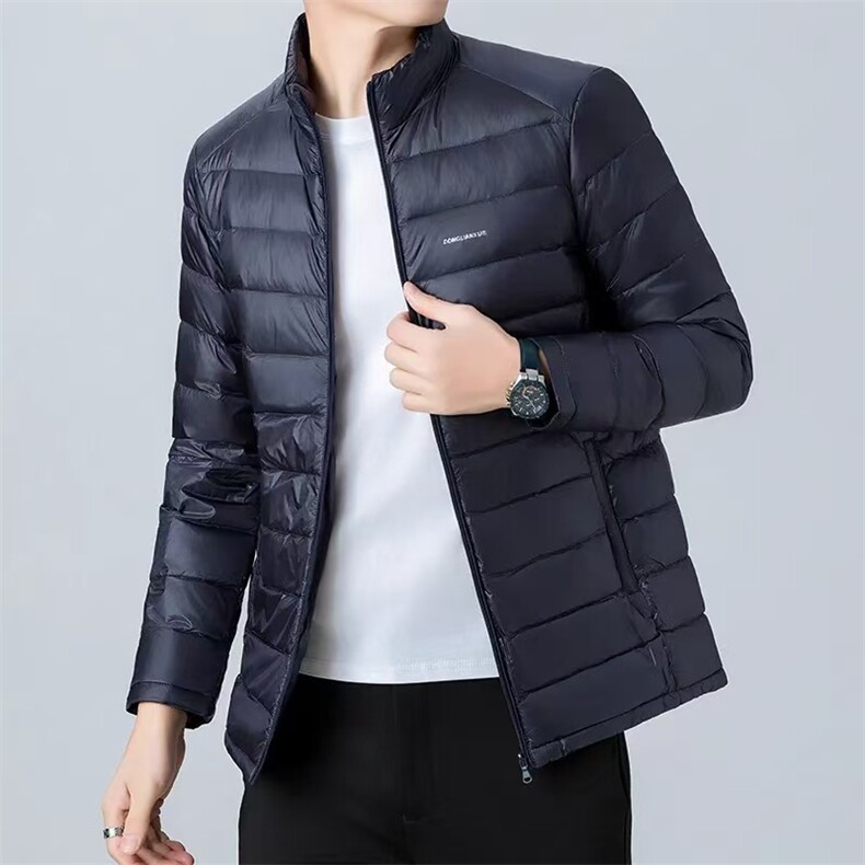胖胖哥简约可替换内胆立领短款羽绒服男冬季保暖轻薄大码宽松外套,男装羽绒服,钱塘6003（原4033）