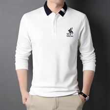 翻领长袖纯棉T恤男商务休闲刺绣秋季2023新款中年打底POLO衫上衣，男装T恤，电商B212（原钱塘6029）