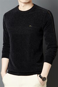 卫衣男装春秋季2023新款中年长袖休闲上衣服宽松圆领刺绣潮牌男士图片