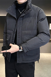 轻薄羽绒服男冬季2024新款条纹立领男装外套 A313-7535-P175图片