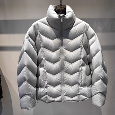 (网图)90白鸭绒200-230克高充绒休闲龟背羽绒服313B-88081-P350，男装羽绒服，星座313B