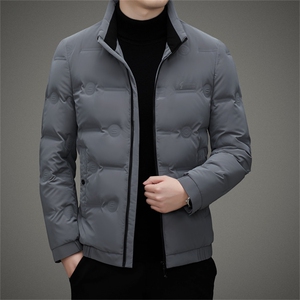 DZ8202钱塘2020-3中年男士冬季厚款商务休闲立领羽绒服P185图片
