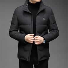 中老年羽绒服男士休闲冬季中年人爸爸装时尚外套QLMF8238-P250，男装羽绒服，电商B212（原钱塘6029）
