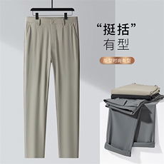 2023夏季新款商务休闲男士西裤牛奶丝弹力舒适时尚修身直筒男中年，男装西裤，电商B212（原钱塘6029）