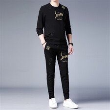 2023春秋季新款圆领长袖T恤男套装中青年印花男装时尚两件套，男装休闲套装，电商B212（原钱塘6029）