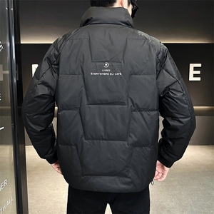 AK87801钱塘2020-3冬季厚款时尚休闲简约中年男士羽绒服P155图片